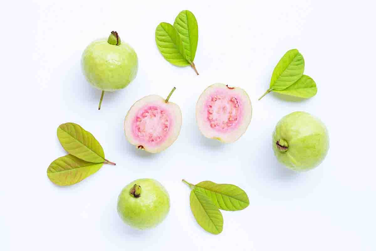 guava frutto e foglie