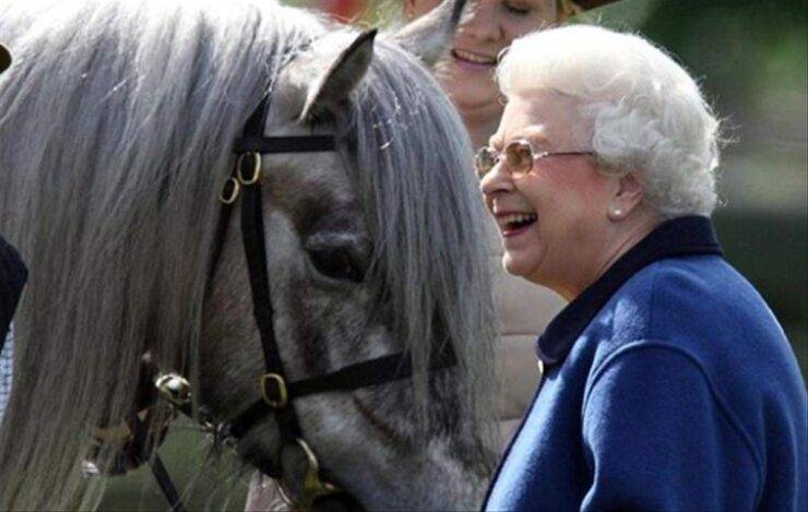 Regina Elisabetta a cavallo