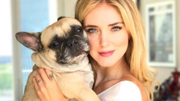 Il Cane Di Chiara Ferragni Ha Il Papillon