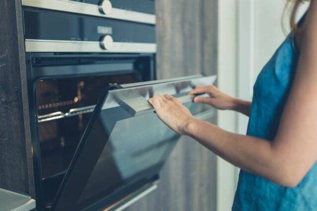 Differenza Tra Friggitrice Ad Aria E Forno Ventilato