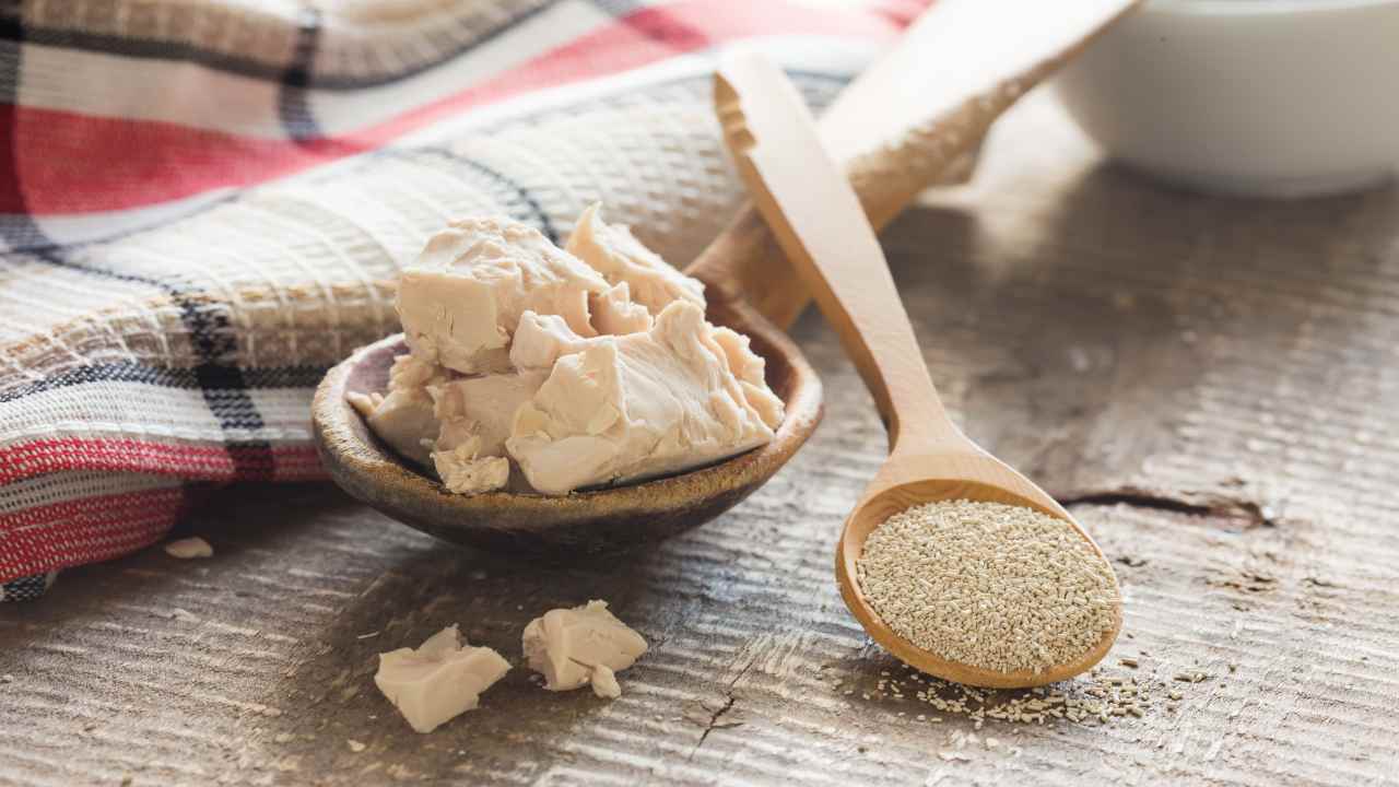 Capelli Idratati E Viso Luminoso Scopri Come Con Il Lievito Di Birra