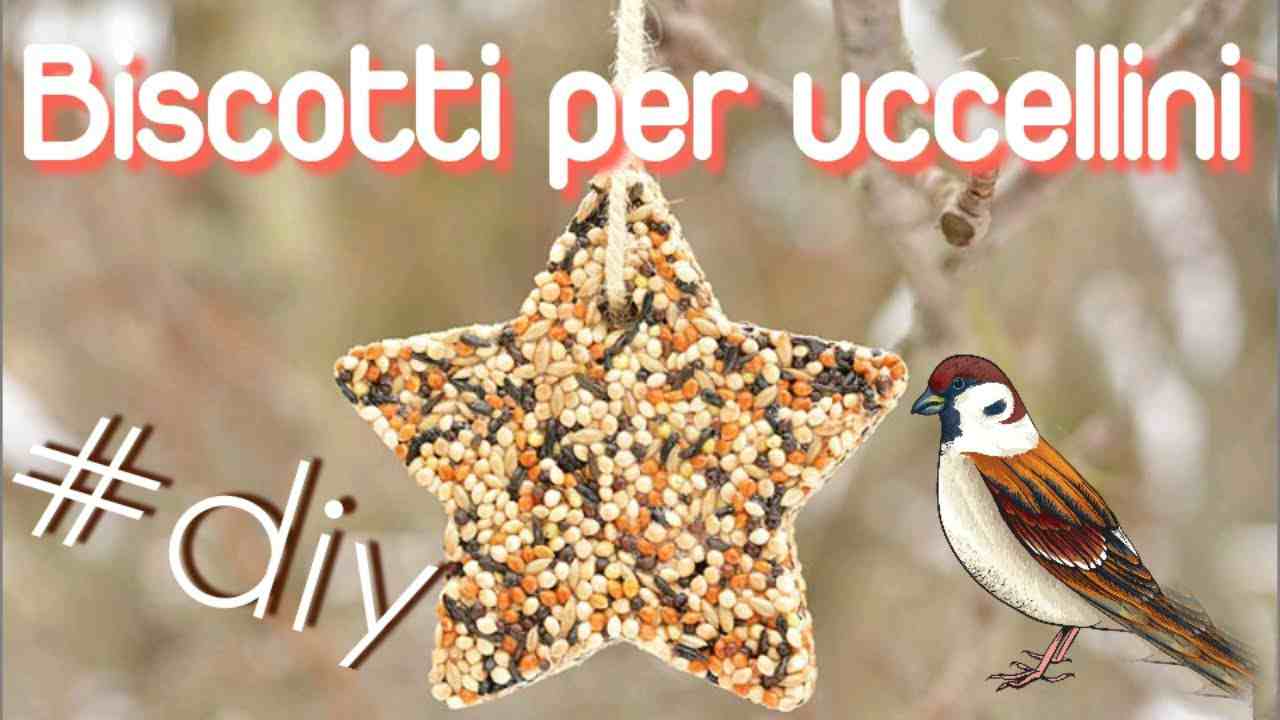 Biscotti per uccellini fatti in casa