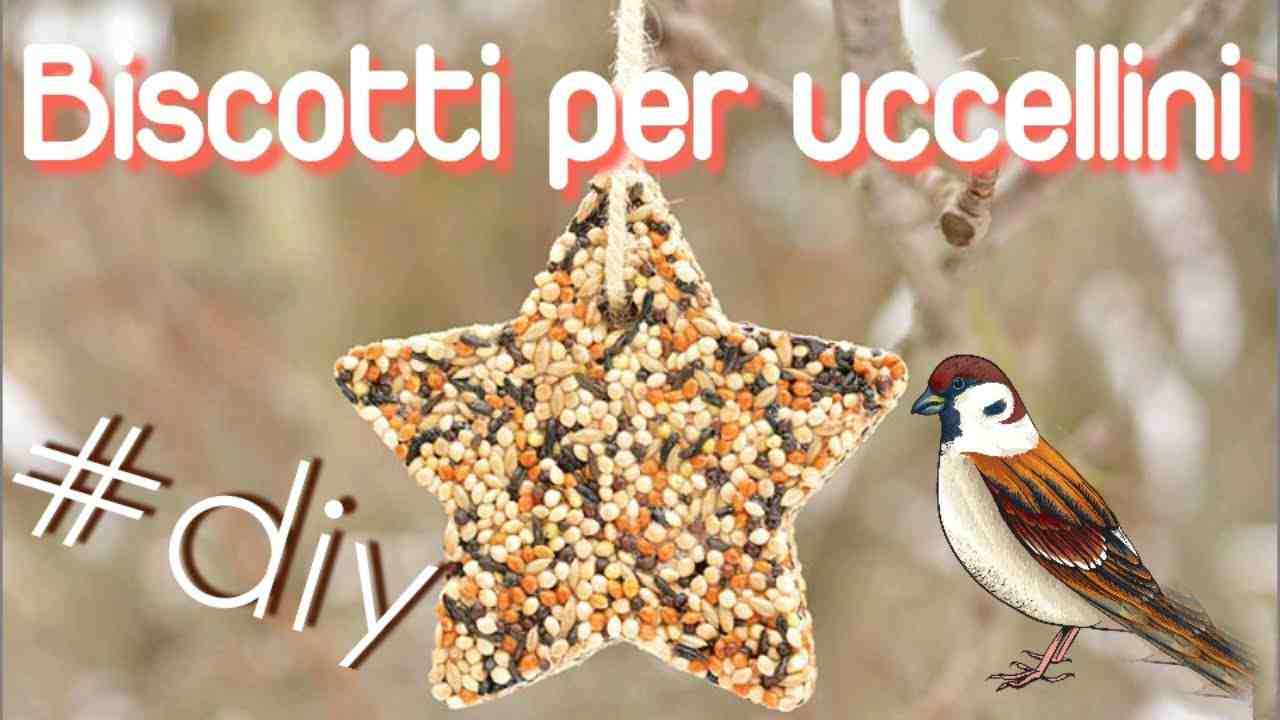 Biscotti per uccellini fatti in casa 