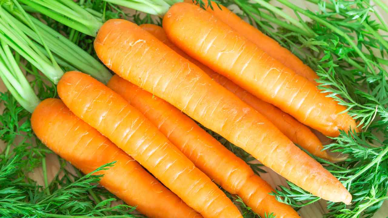 carote gratinate al forno