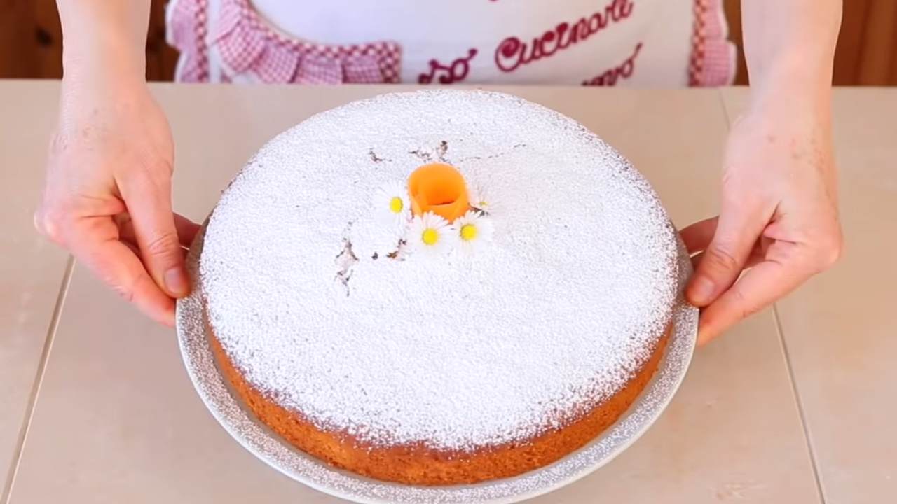 torta di carote