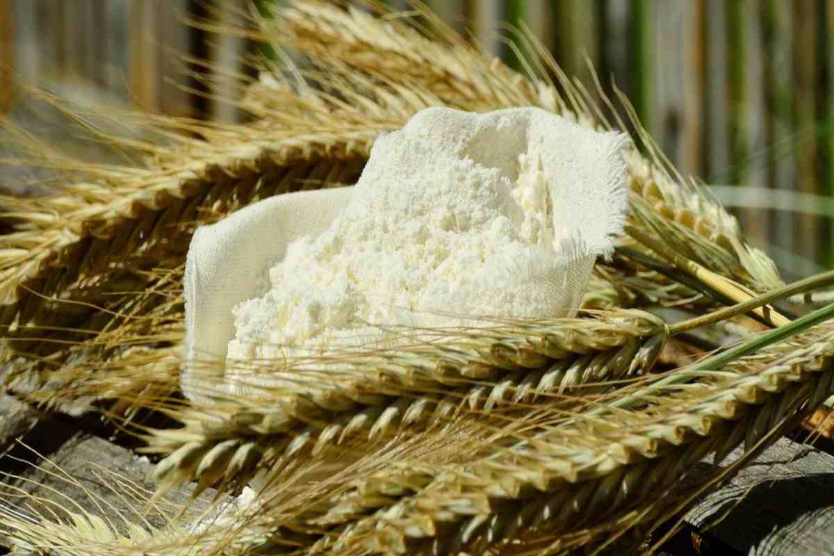 Come riconoscere farina fresca