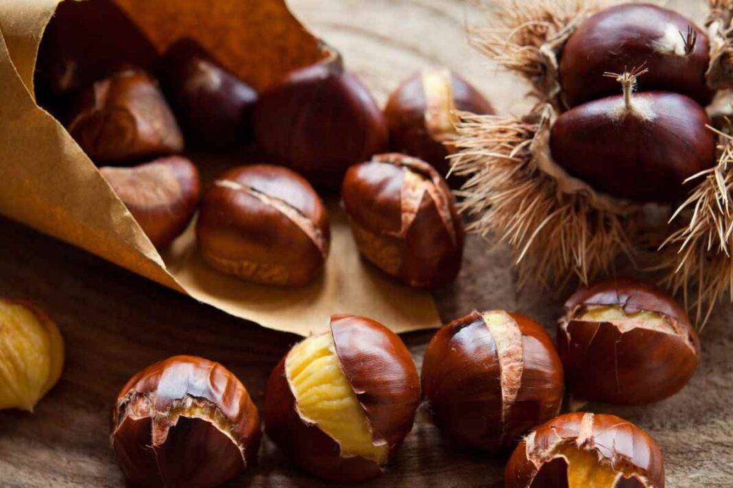 Bisogna Incidere Le Castagne Prima Di Bollirle