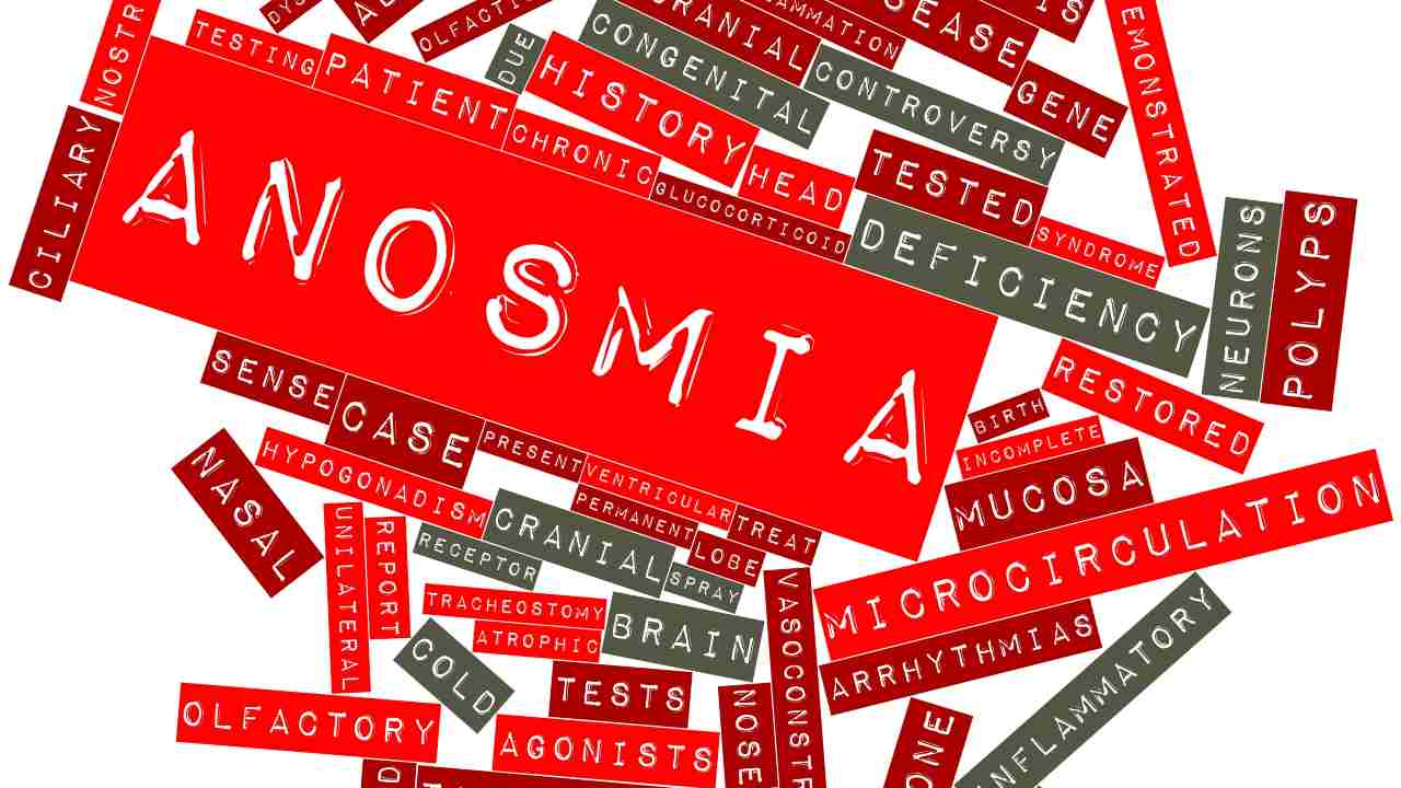 anosmia 