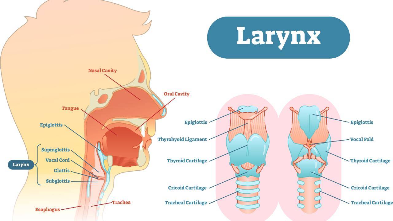 laringite cos'è sintomi cause