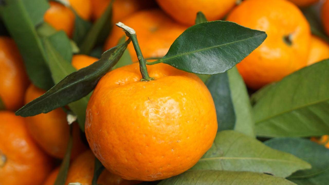 mandarini dimagrire