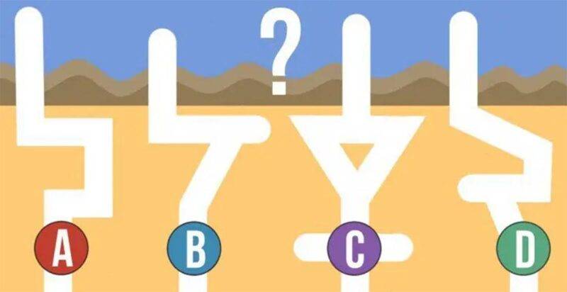 Test Psicologico In Quale Tubo L Acqua Scorre Piu Velocemente