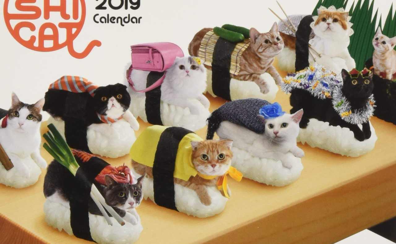 Sushi cat