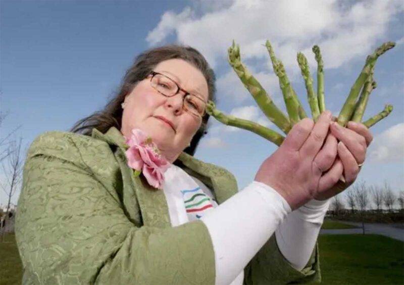 lady asparagus