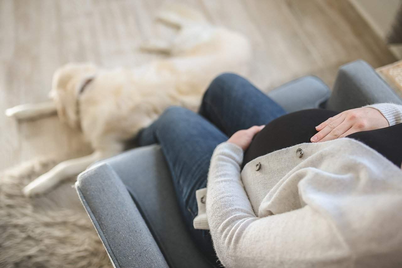 donna incinta con il cane 