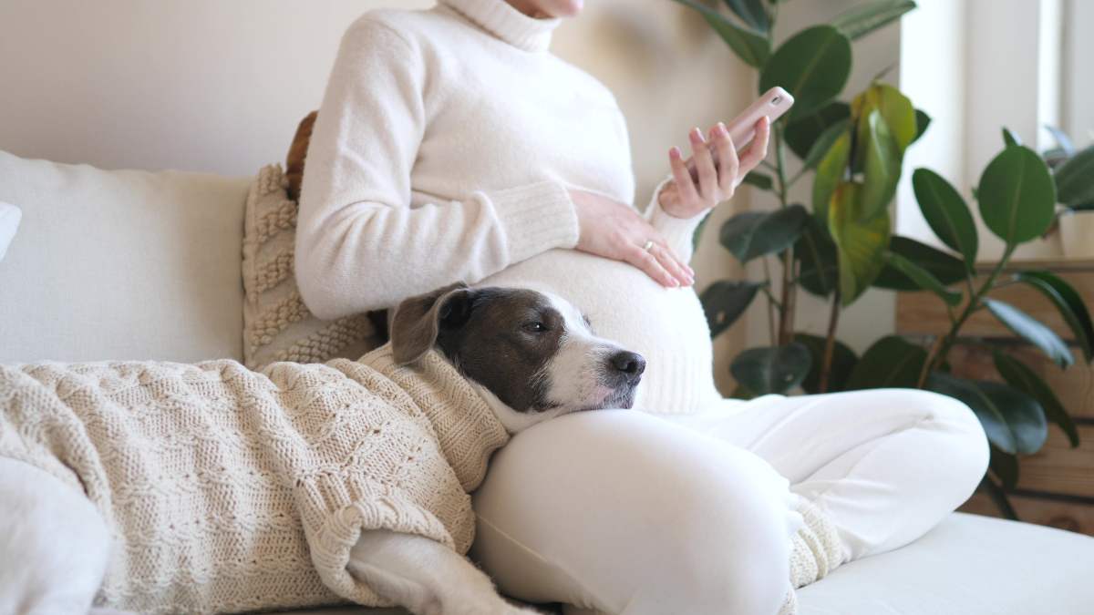 gravidanza donna sul divano 