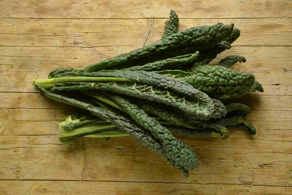 cavolo nero