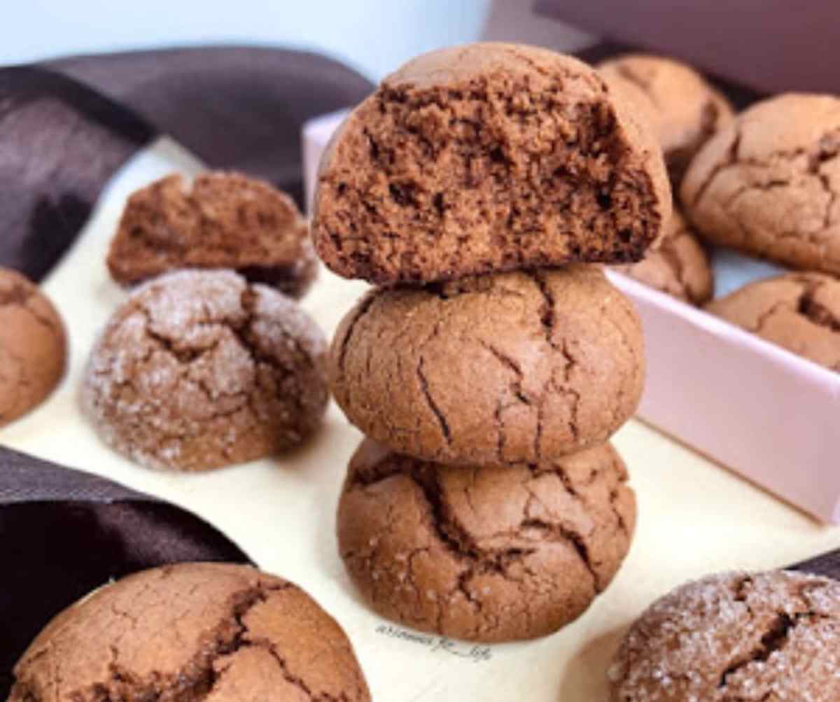 biscotti al cioccolato primo piano 