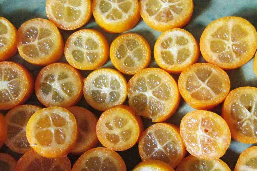 Kumquat proprietà, benefici, controndicazioni e come usarlo