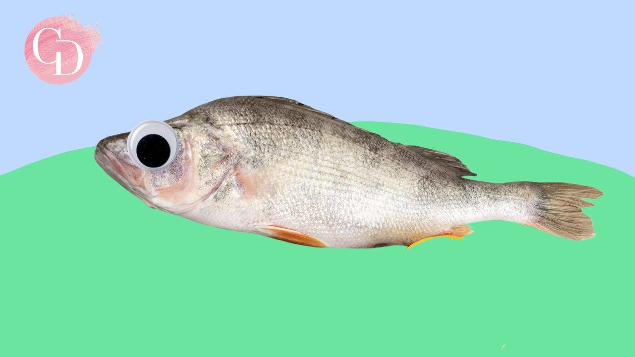 wokefish