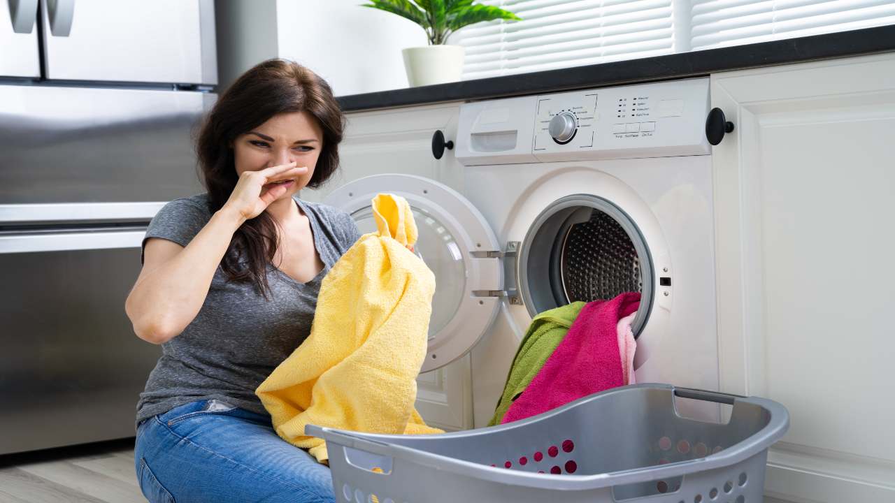 Cosa Mettere Negli Armadi Per Evitare La Muffa