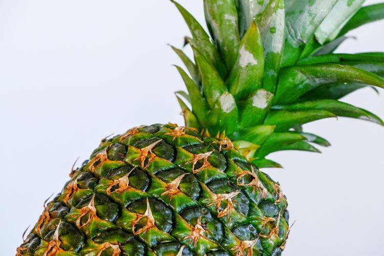 ananas