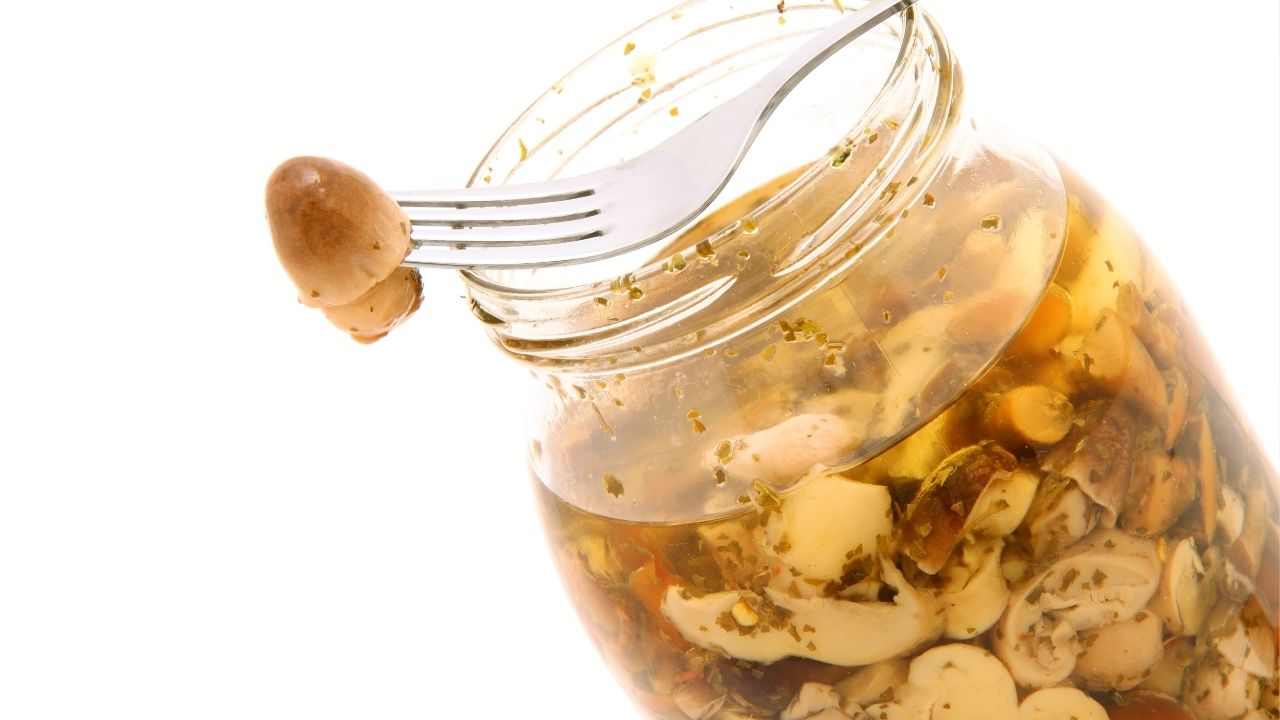 riciclare olio conserve