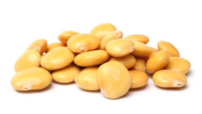 I Lupini Fanno Ingrassare O Dimagrire