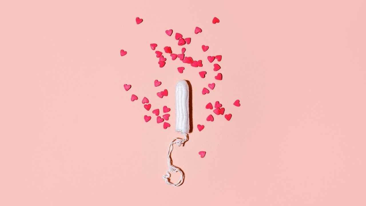 assorbente interno ciclo