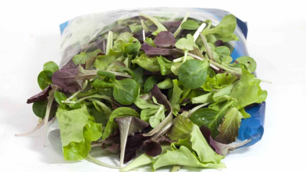 insalata in busta