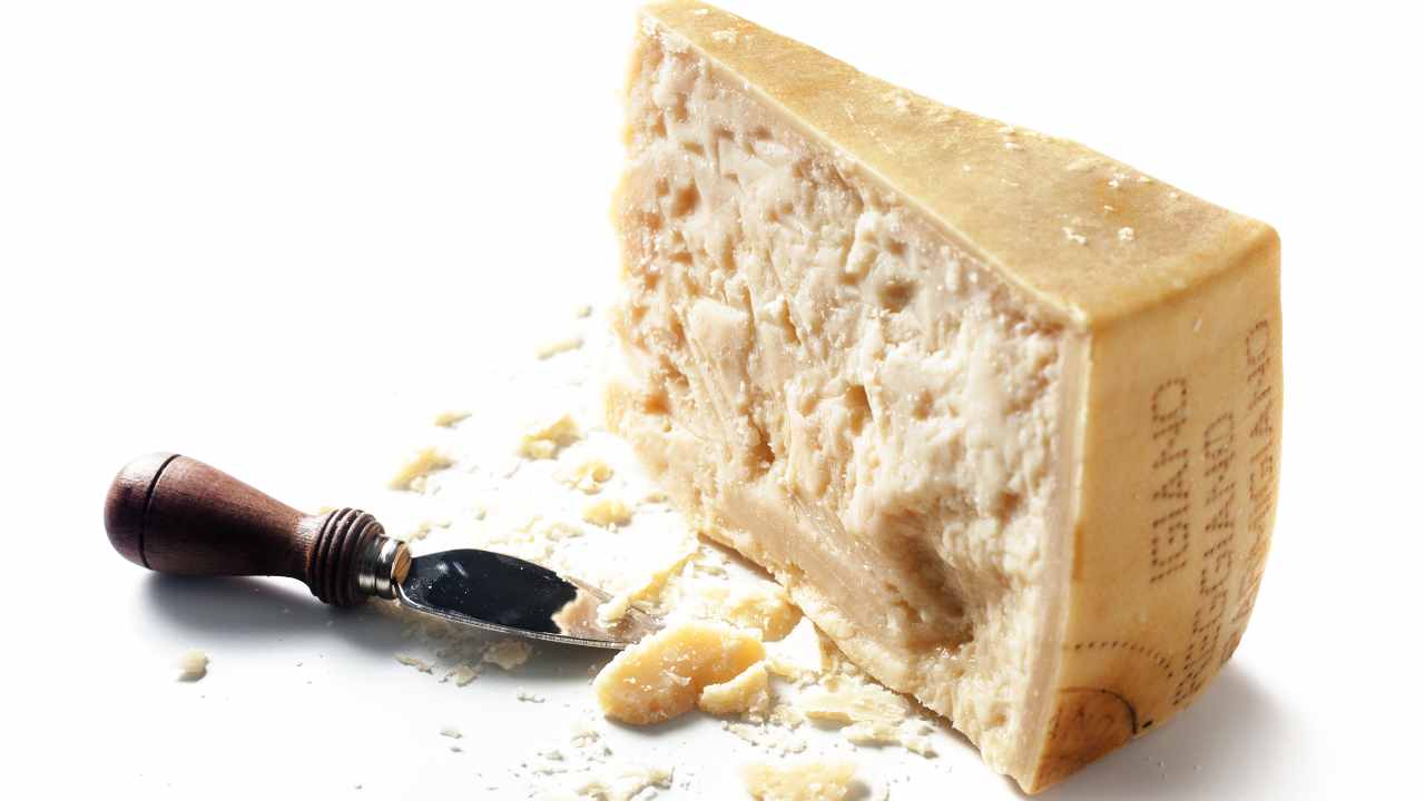 parmigiano