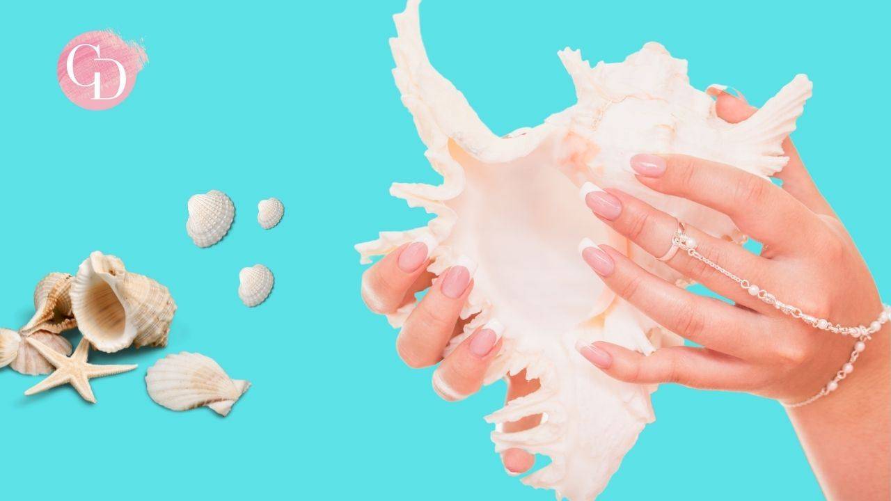 mani che tengono una conchiglia