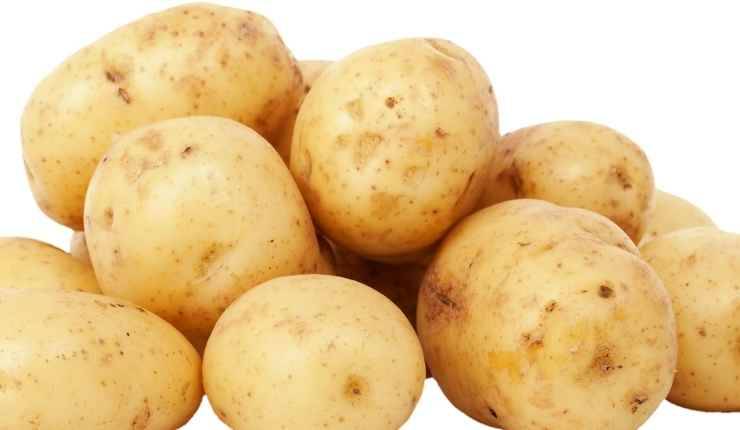 gratin di patate 