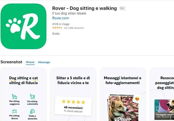 rover app dog sitter