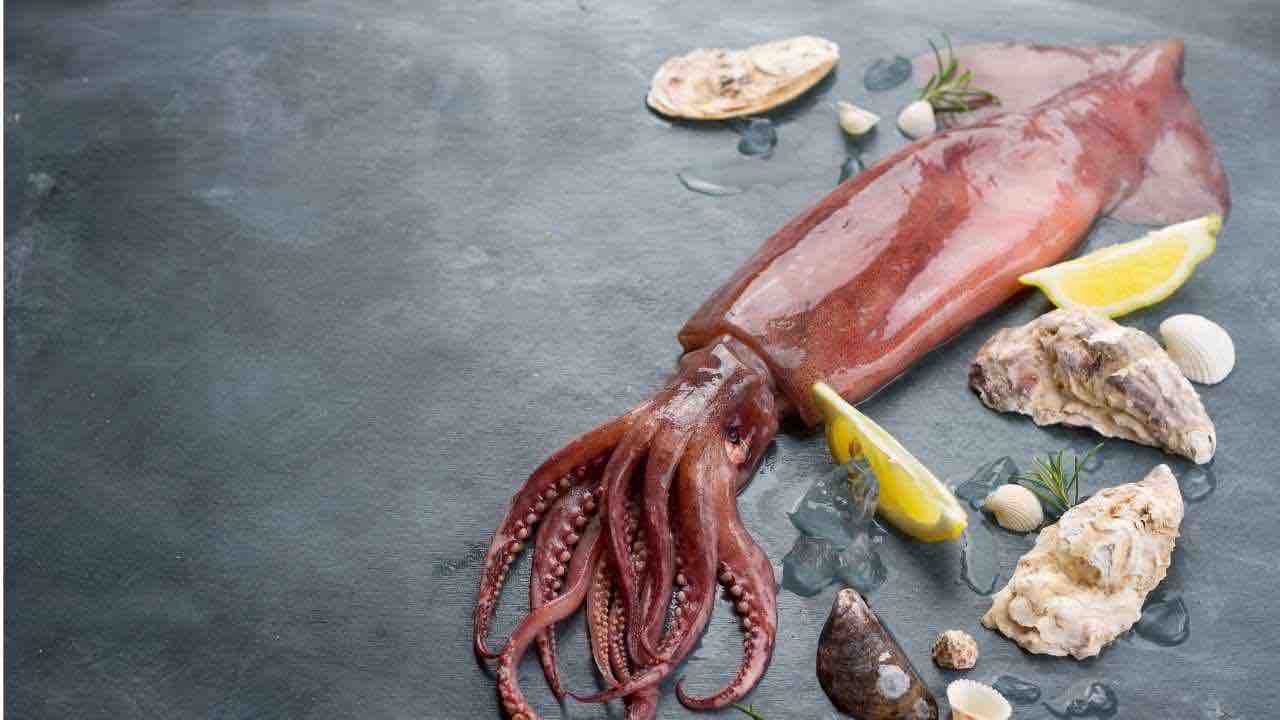 Scelta, pulizia, cottura: le regole per un calamaro perfetto