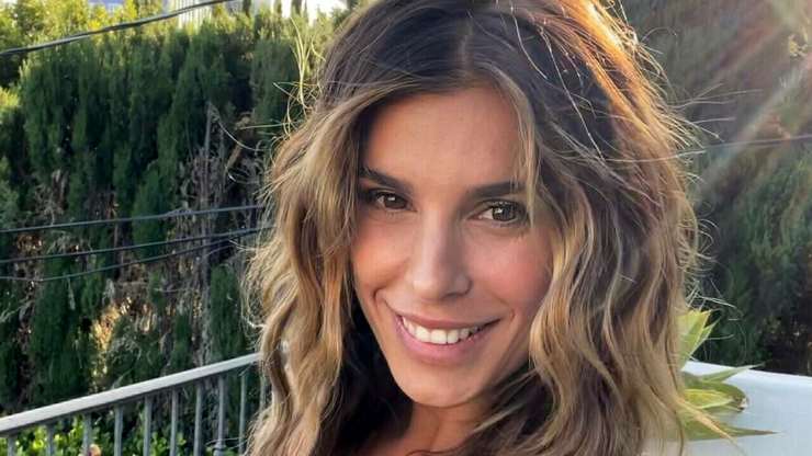 elisabetta canalis oggi