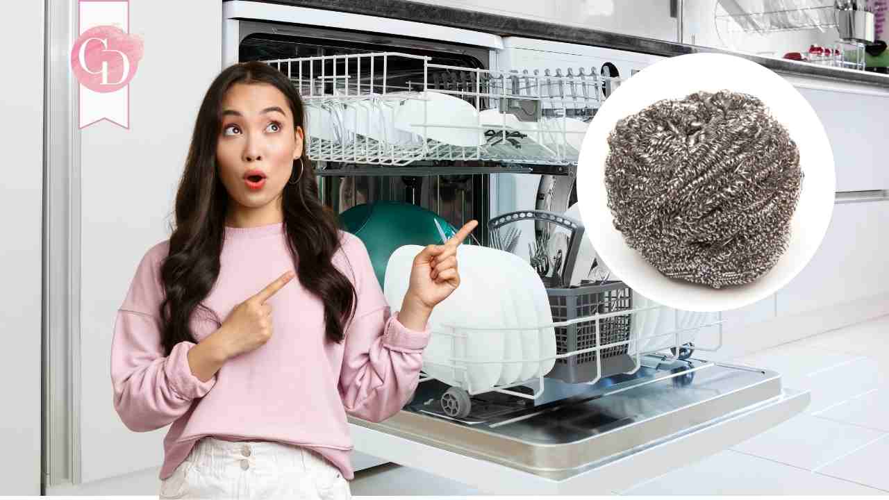spugna acciaio lavastoviglie