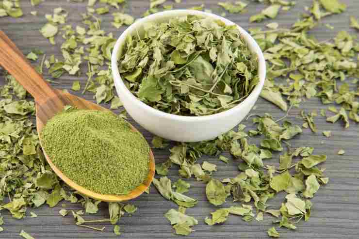 forfora via con polvere di moringa