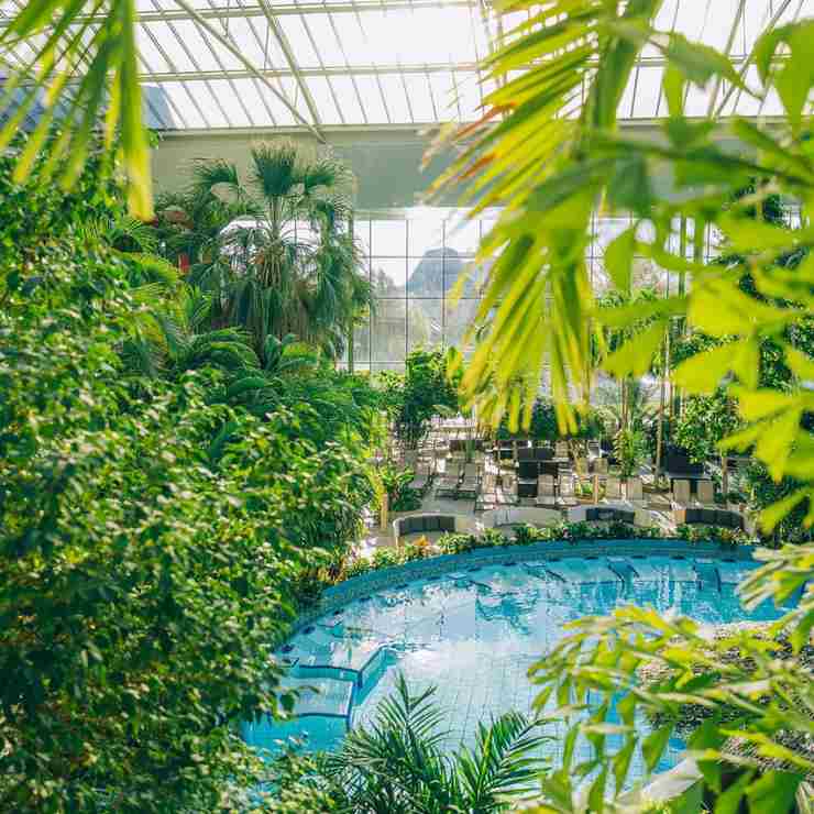Therme Erding piscina