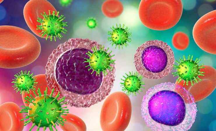 globuli bianchi e rossi con virus