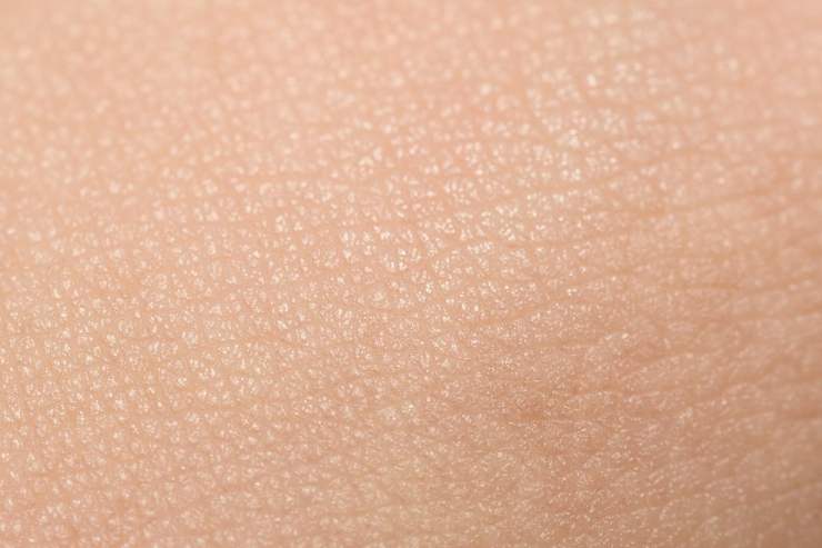 grana del viso in primo piano 