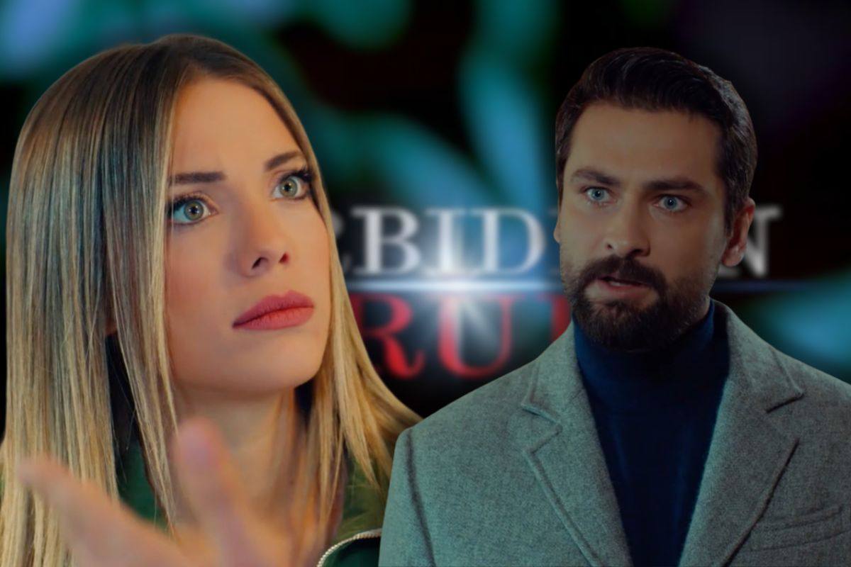 logo forbidden fruit, yildiz e alihan