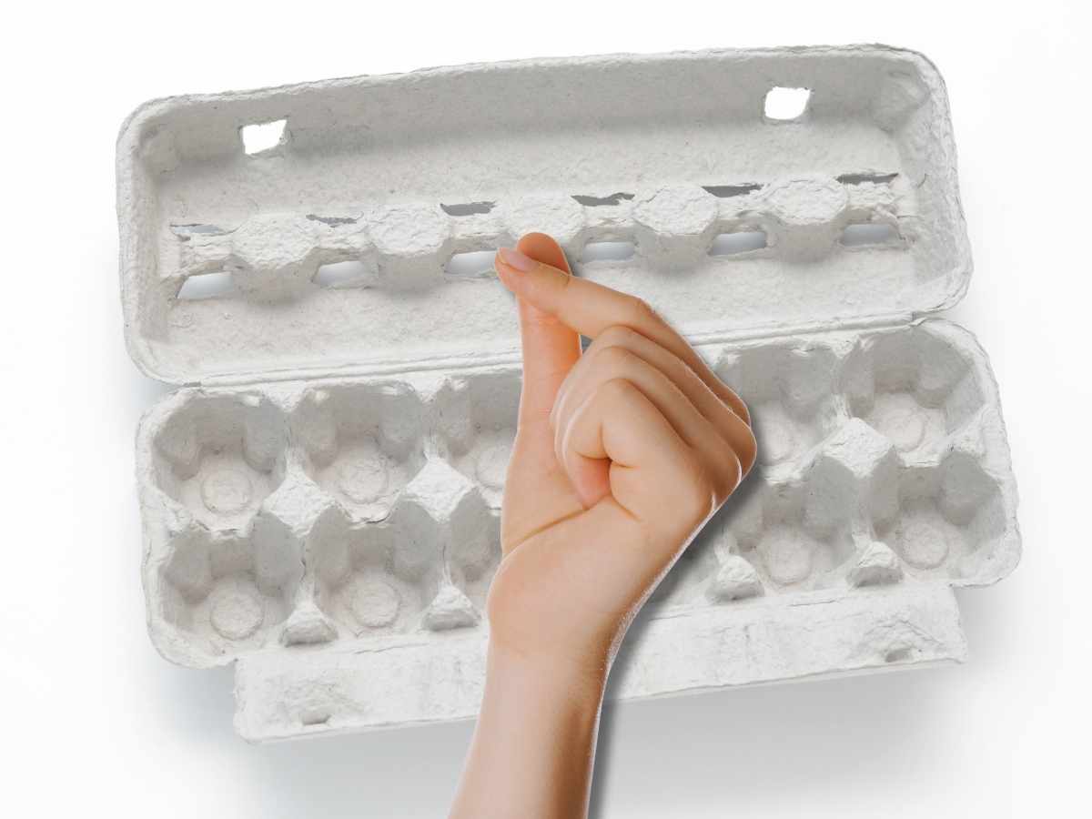 cartone delle uova, gesto che richiama il risparmio