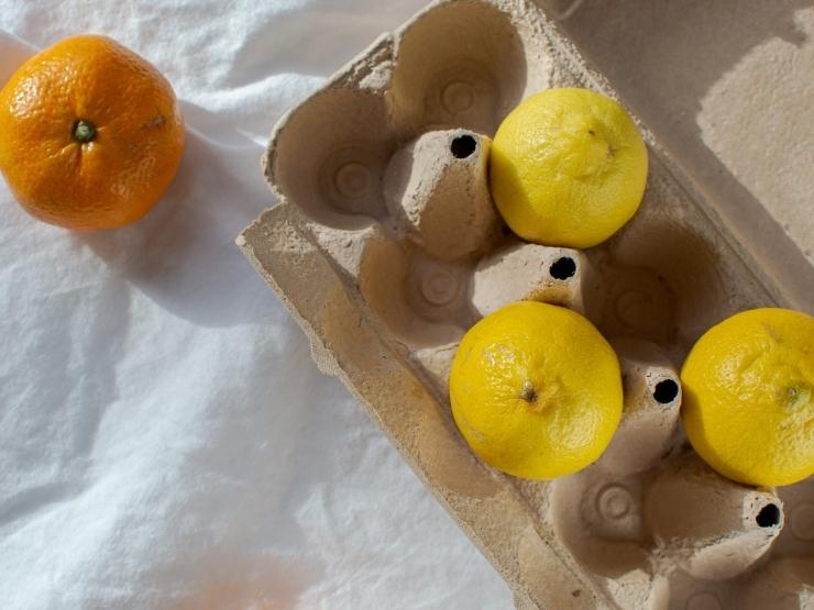 cartone delle uova contenente limoni