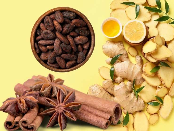 cannella, cacao in semi e zenzero