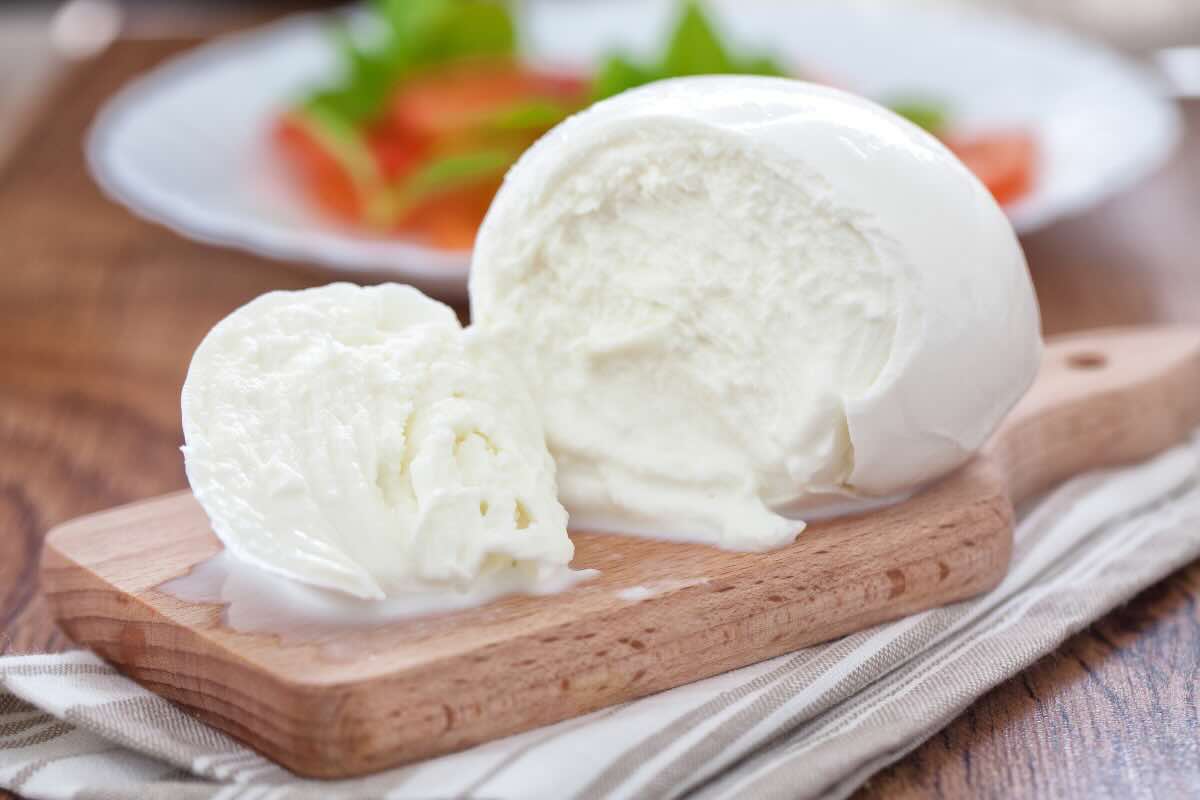 mozzarella 