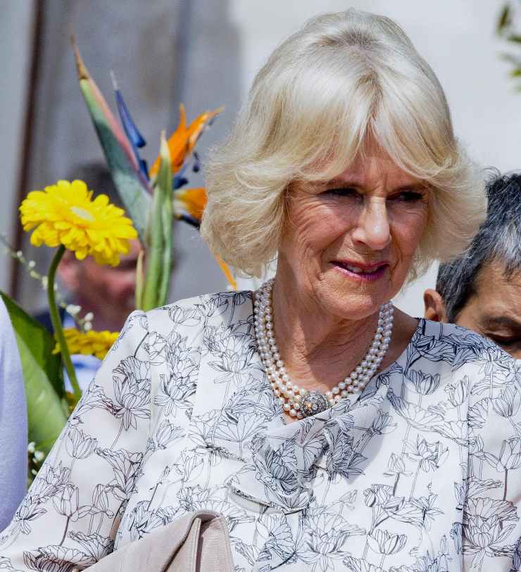 Una foto di Camilla mezzo busto