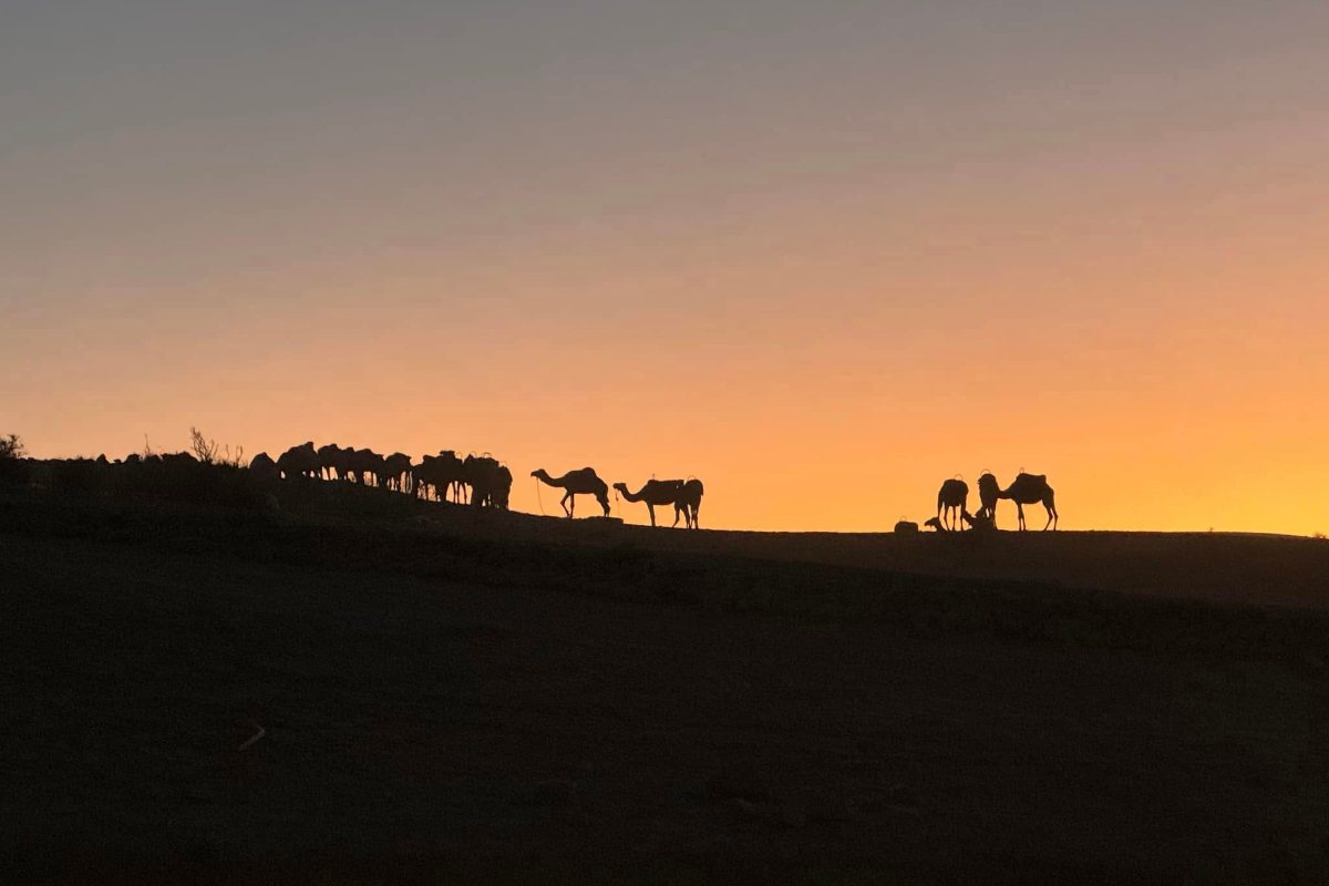 Una veduta del deserto in Marocco