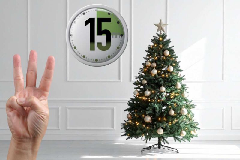 albero mano e timer 15 minuti