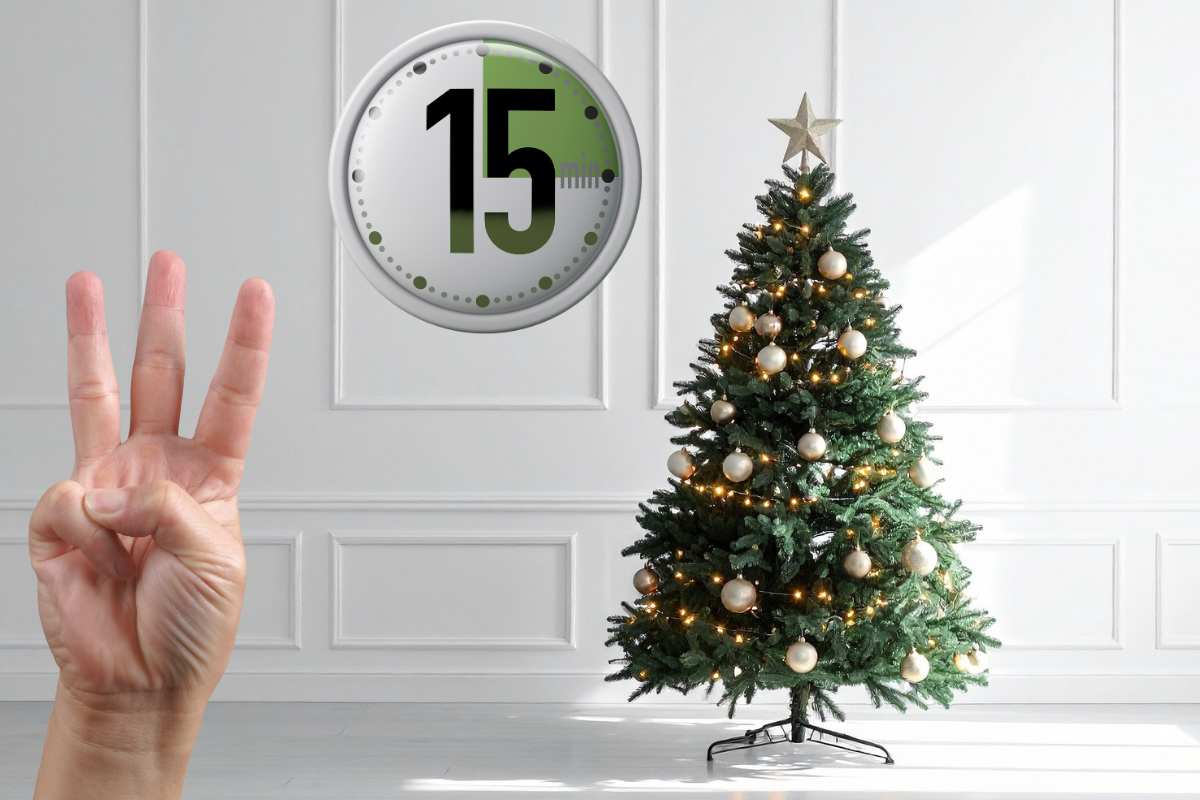 albero mano e timer 15 minuti