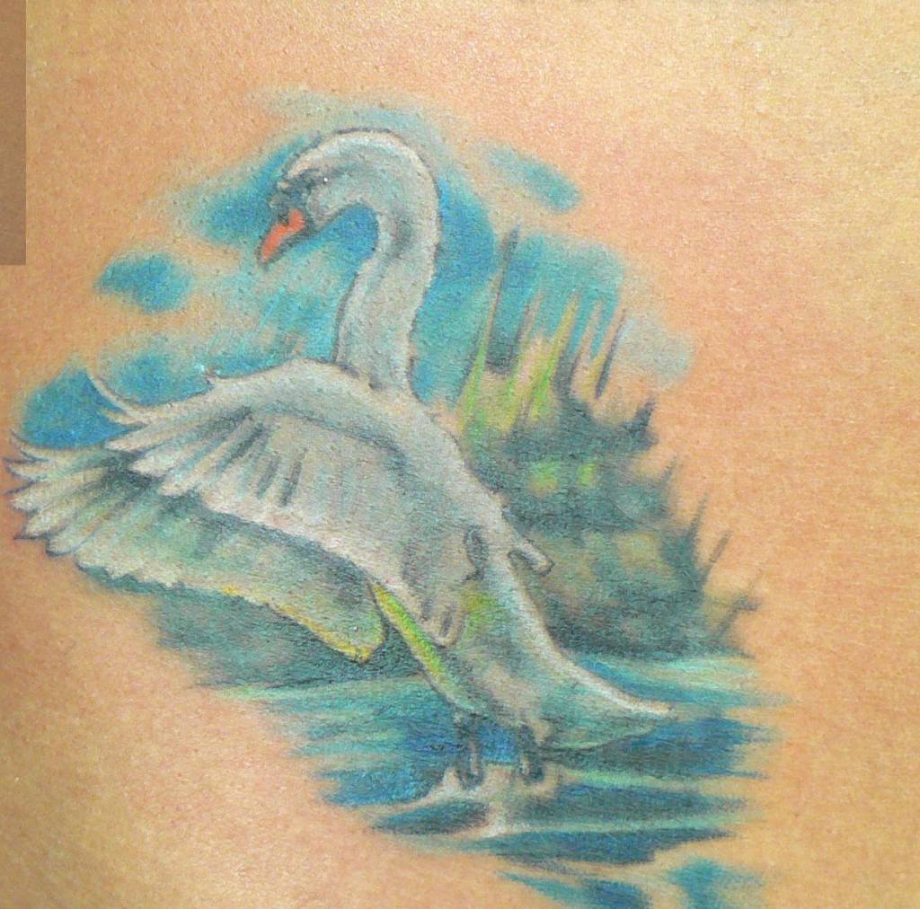 TATUAGGI il cigno, foto e significato